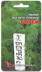 Укроп Борей  купить