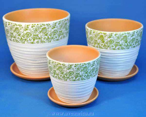 Крокус Гамма зелен. комплект из 3-х купить