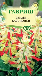 Сальвия Кассиопея карликовая купить