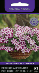 Петуния Изи Вейв F1 Бургунди Стар ампельная  купить