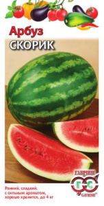 Арбуз Скорик  купить