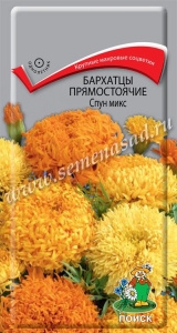 Бархатцы Спун Микс прямостоячие купить