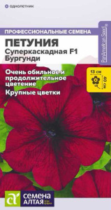 Петуния Суперкаскадная F1 Бургунди купить