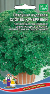 Петрушка Хлопец Кучерявый  кудрявая  купить