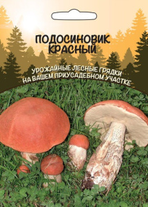 Подосиновик Красный  купить