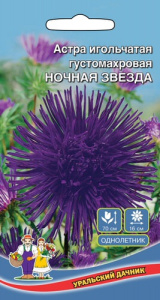Астра Ночная звезда  купить