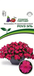 Бальзамин Уоллера F1 Роуз Эль  купить