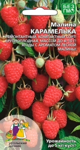 Малина Карамелька купить