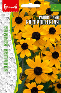 Санвиталия Распростёртая купить