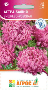 Астра Башня Вишнево-Розовая  купить