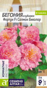 Бегония Фортун Салмон Биколор клубневая  купить