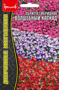 Обриета Волшебный Каскад гибридная  купить