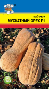 Кабачок Мускатный Орех F1 купить