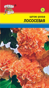 Шток Роза Лососевая купить