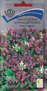 Черноголовка крупноцветковая Смесь окрасок  купить