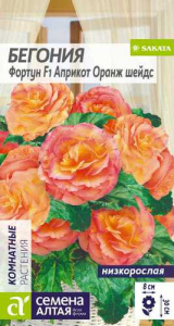 Бегония Фортун Априкот Оранж шейдс клубневая  купить