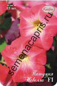 Петуния Новелла/1шт купить