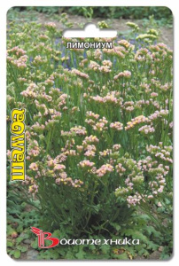 Лимониум Шамоа 30 шт купить