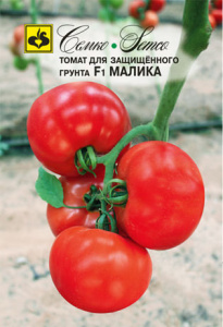 Томат Малика F1 купить