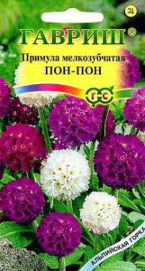 Примула Мелкозубчатая крупноцв Пон-Пон смесь  купить