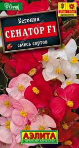 Бегония Сенатор F1, смесь вечноцветущая  купить