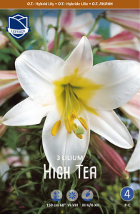Лилия ОТ-гибрид High Tea /3шт купить