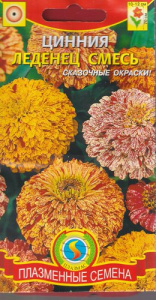 Цинния Леденец смесь  купить