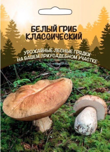 Белый Гриб Классический (ССПК)  купить