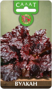 Салат Вулкан  купить