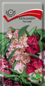 Бальзамин Том Самб купить