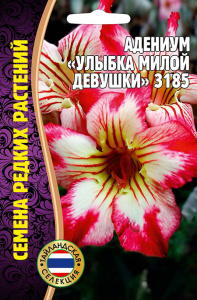 Адениум Улыбка Милой Девушки 3185 купить