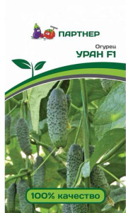 Огурец Уран F1 купить