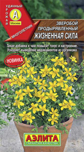 Зверобой Жизненная сила  купить