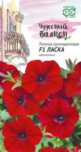 Петуния Ласка F1 крупноцветковая  купить