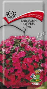 Бальзамин Импреза Пунш купить