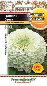 Цинния Русский размер, белая купить