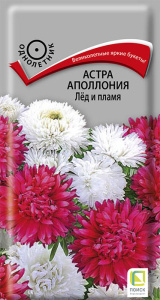 Астра Аполлония Лед и пламя купить