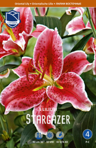 Лилия восточная Stargazer /3шт купить