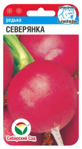 Редька Северянка купить