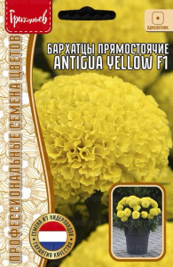 Бархатцы Антигуа F1 Еллоу купить