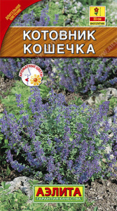 Котовник Кошечка  купить