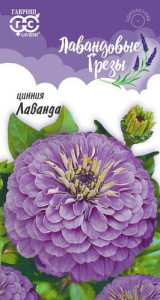 Цинния Лаванда серия Лавандовые грёзы купить