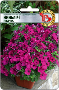 Петуния Нинья F1 Парпл каскадная мелкоцветковая  купить