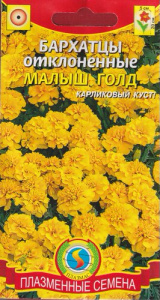 Бархатцы Малыш Голд откл. купить