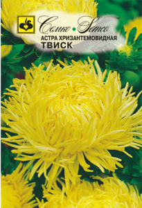 Астра хризантемовидная Твиск  купить