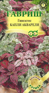 Гипоэстес Капли акварели  купить
