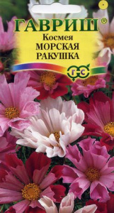 Космея Морская Ракушка  купить