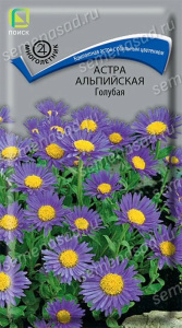 Астра альпийская Голубая купить