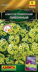 Алиссум Лимонный приморский купить