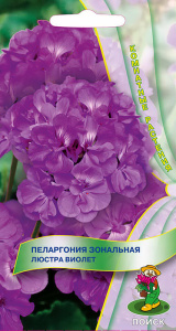 Пеларгония зональная Люстра Виолет  купить